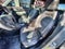 2026 Chevrolet Trailblazer AWD RS
